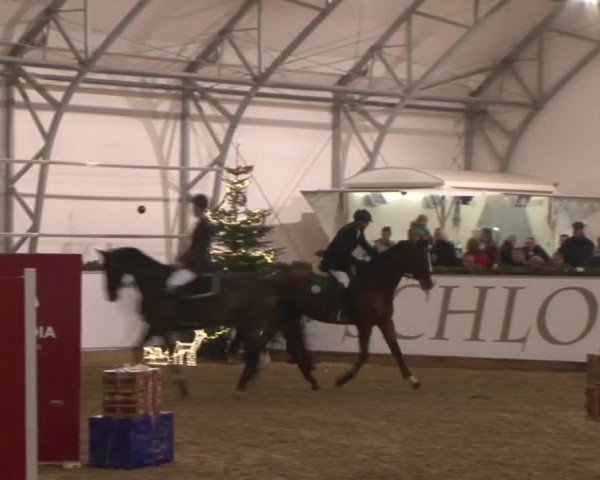 Reitturnier Wendorf 2016