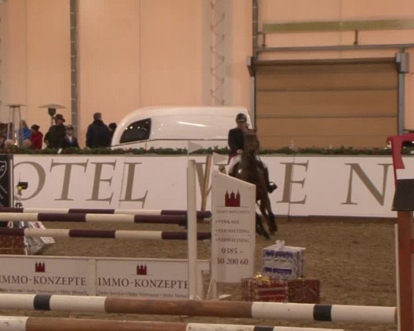 Reitturnier Wendorf 2016