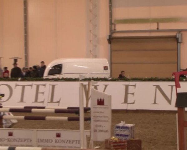 Reitturnier Wendorf 2016