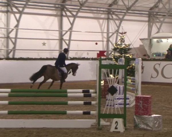 Reitturnier Wendorf 2016