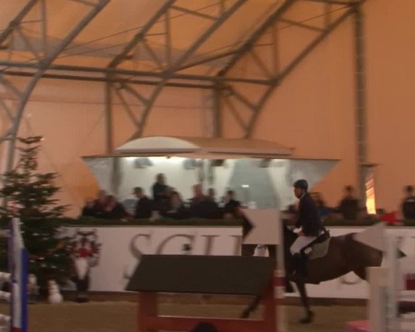Reitturnier Wendorf 2016