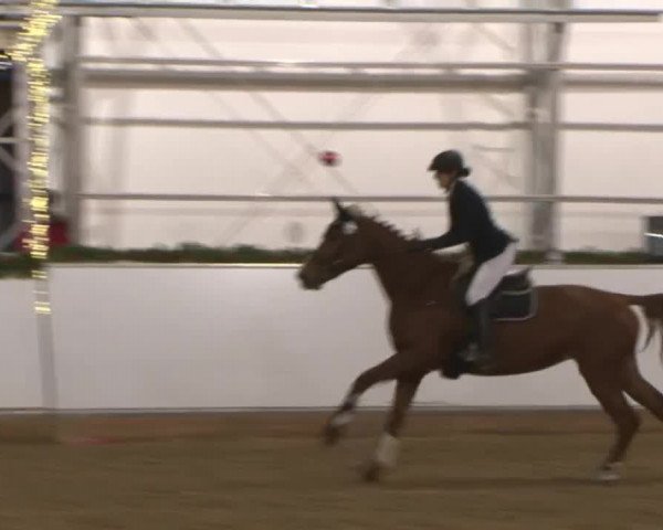 Reitturnier Wendorf 2016