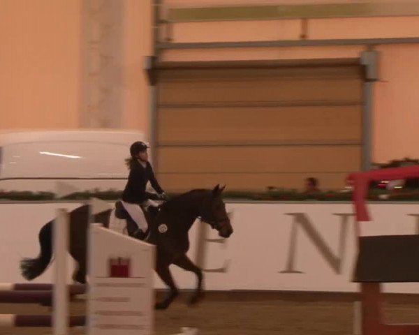 Reitturnier Wendorf 2016