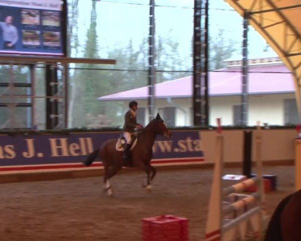 Reitturnier Wendorf 2016