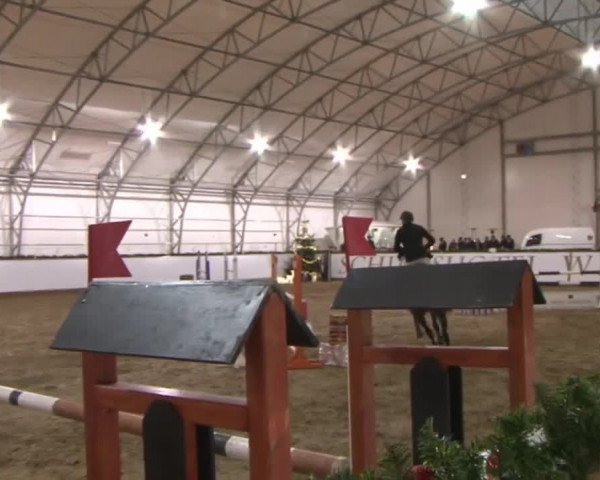 Reitturnier Wendorf 2016
