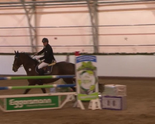 Reitturnier Wendorf 2016
