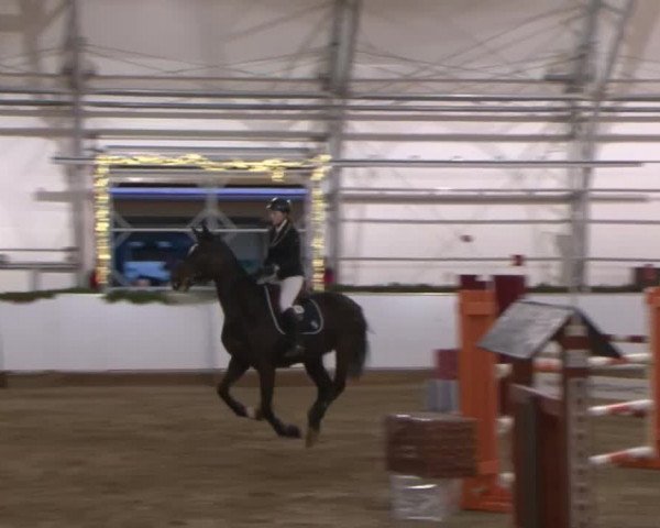 Reitturnier Wendorf 2016