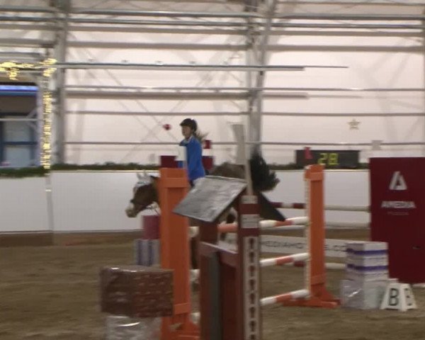 Reitturnier Wendorf 2016