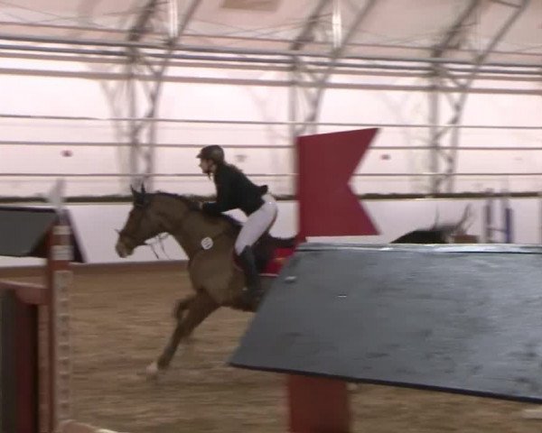Reitturnier Wendorf 2016