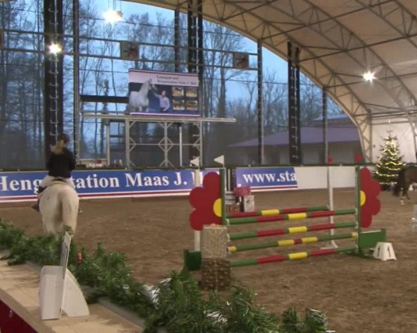 Reitturnier Wendorf 2016