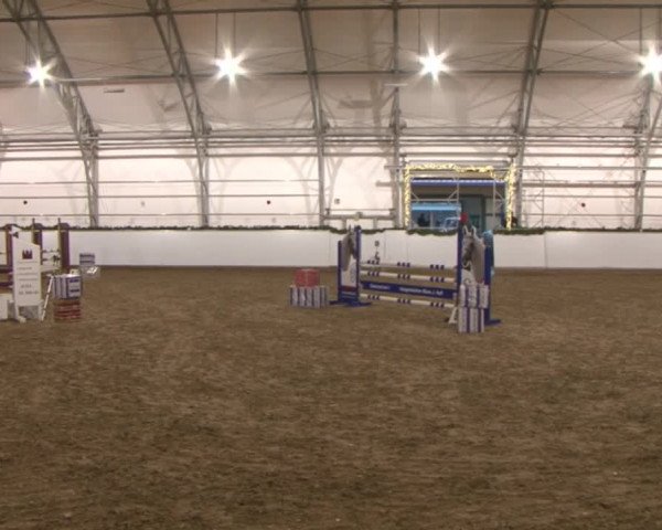 Reitturnier Wendorf 2016