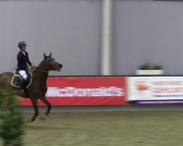 Hallen-Reitturnier Münster-Handorf 2016
