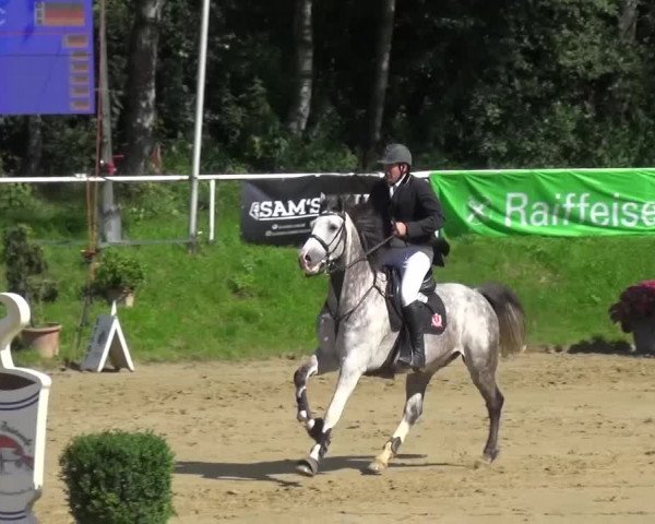 Reitturnier Viersen-Dülken 2016