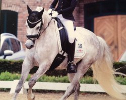 Dressurpferd Chameur (Deutsches Reitpony, 2006, von Henry)