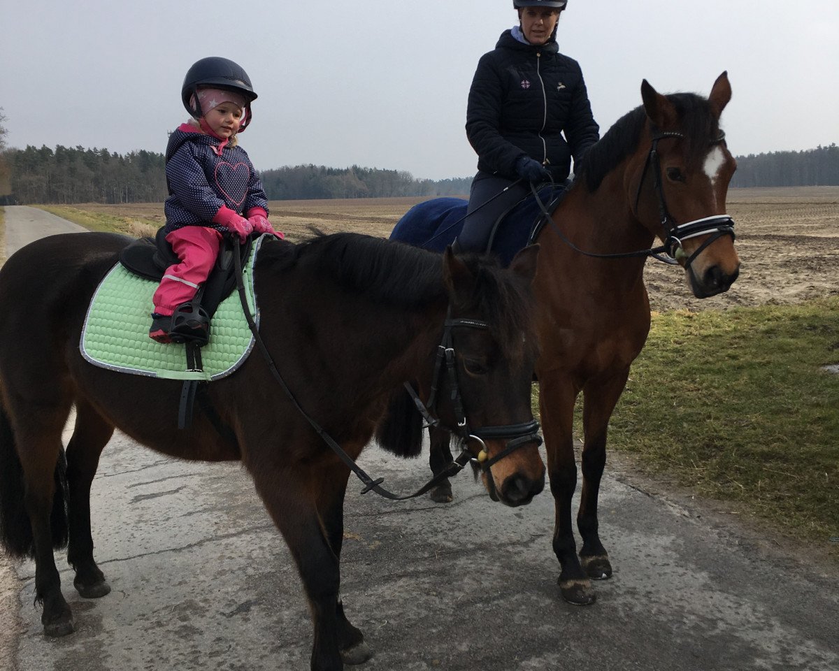 broodmare Bambaluna (German Riding Pony, 1996, from Caliostro)