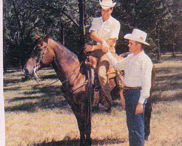broodmare Monika (Quarter Horse, 1966, from Okie Leo)