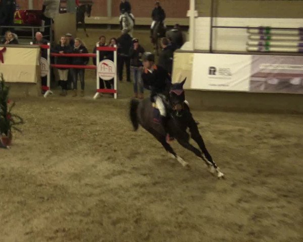 Winterturnier Alt-Marl 2016
