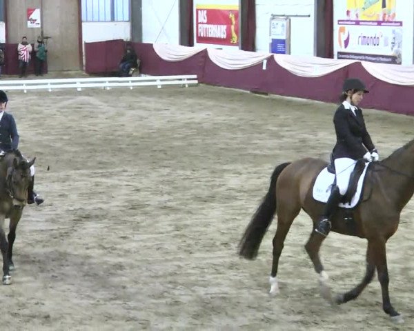 22. Drei-Königs-Hallenturnier Eppelheim 2017