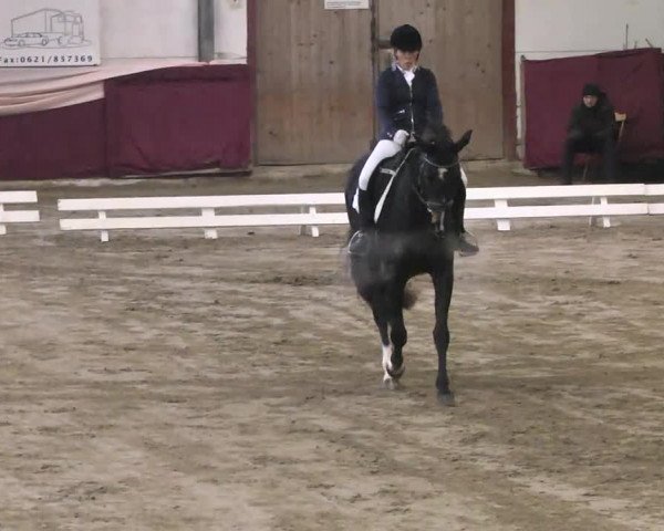 22. Drei-Königs-Hallenturnier Eppelheim 2017