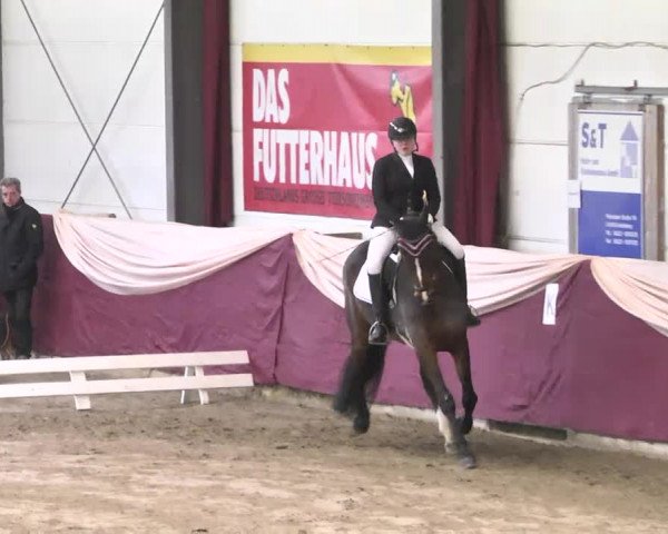 22. Drei-Königs-Hallenturnier Eppelheim 2017