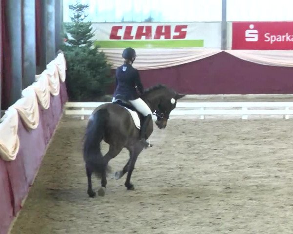22. Drei-Königs-Hallenturnier Eppelheim 2017