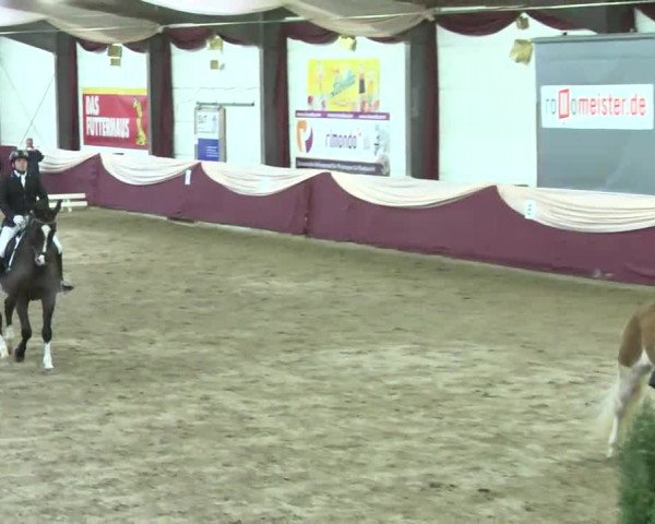 22. Drei-Königs-Hallenturnier Eppelheim 2017