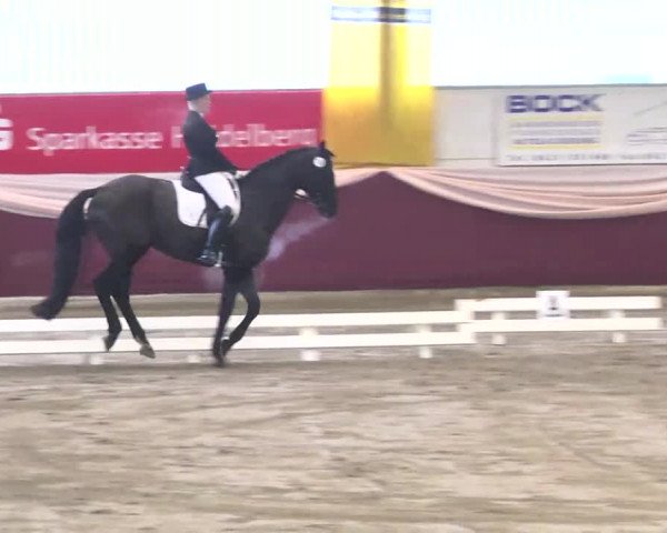 22. Drei-Königs-Hallenturnier Eppelheim 2017