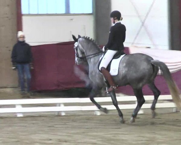 22. Drei-Königs-Hallenturnier Eppelheim 2017