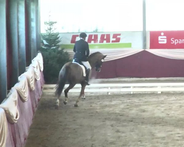 22. Drei-Königs-Hallenturnier Eppelheim 2017