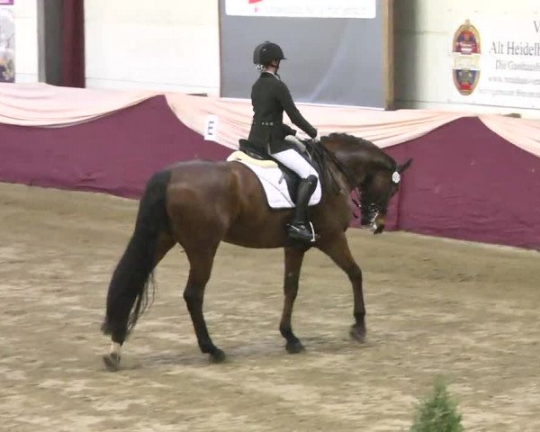 22. Drei-Königs-Hallenturnier Eppelheim 2017