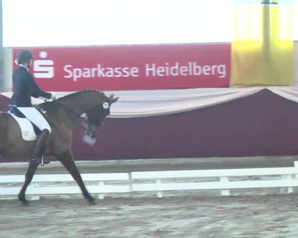 22. Drei-Königs-Hallenturnier Eppelheim 2017