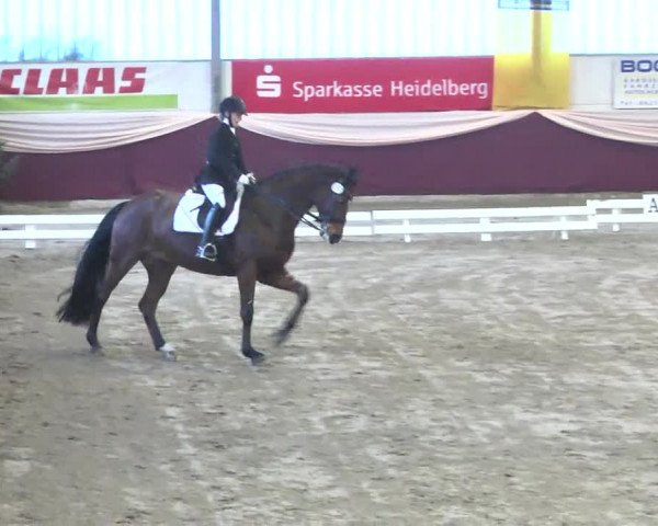 22. Drei-Königs-Hallenturnier Eppelheim 2017