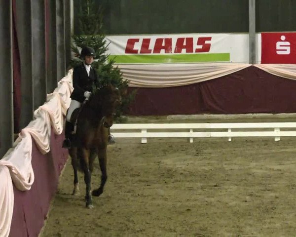 22. Drei-Königs-Hallenturnier Eppelheim 2017