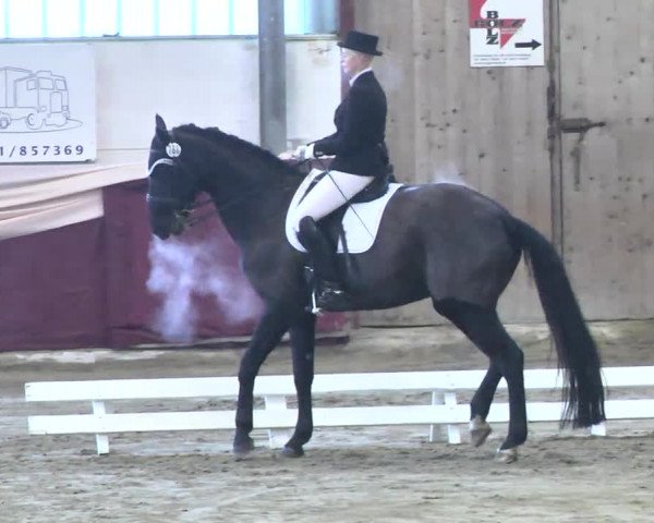 22. Drei-Königs-Hallenturnier Eppelheim 2017