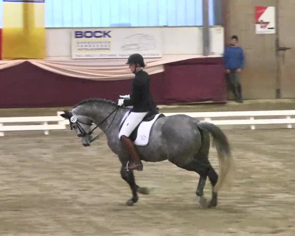 22. Drei-Königs-Hallenturnier Eppelheim 2017