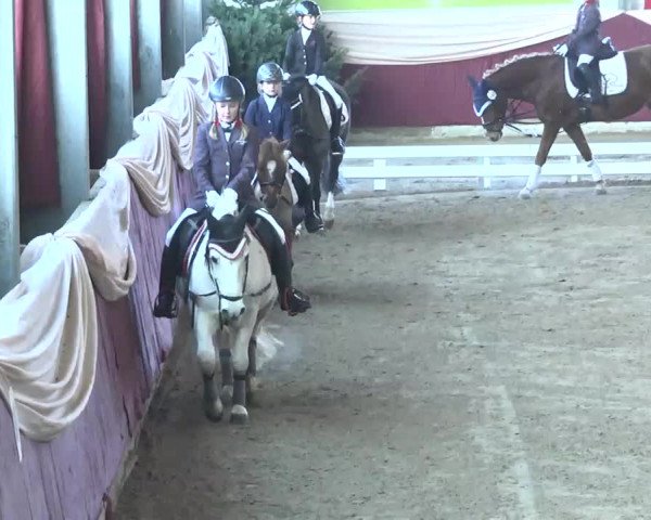 22. Drei-Königs-Hallenturnier Eppelheim 2017