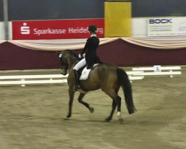 22. Drei-Königs-Hallenturnier Eppelheim 2017