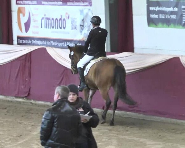 22. Drei-Königs-Hallenturnier Eppelheim 2017