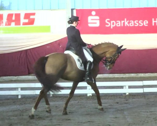 22. Drei-Königs-Hallenturnier Eppelheim 2017