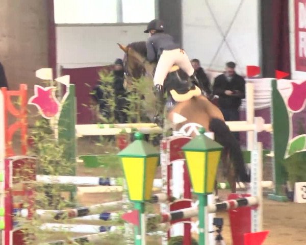 22. Drei-Königs-Hallenturnier Eppelheim 2017