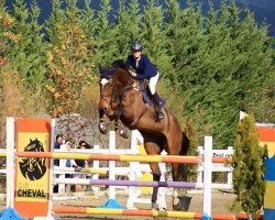jumper La Premiere (Holsteiner, 2008, from Larimar)