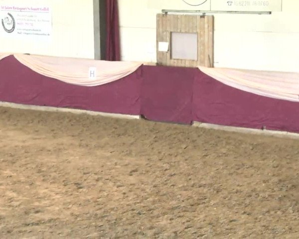 22. Drei-Königs-Hallenturnier Eppelheim 2017