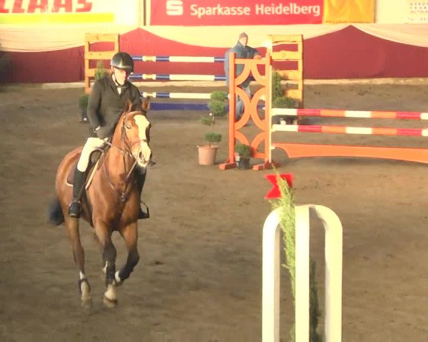 22. Drei-Königs-Hallenturnier Eppelheim 2017