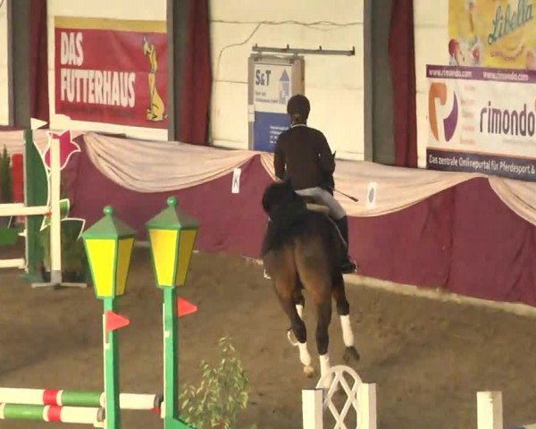 22. Drei-Königs-Hallenturnier Eppelheim 2017
