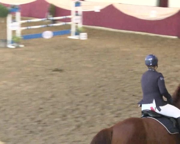 22. Drei-Königs-Hallenturnier Eppelheim 2017