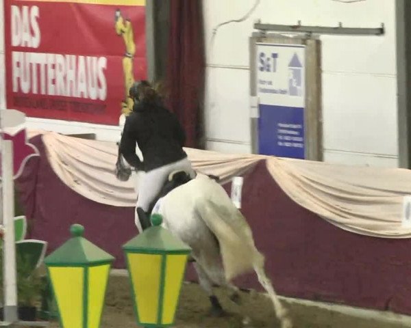 22. Drei-Königs-Hallenturnier Eppelheim 2017