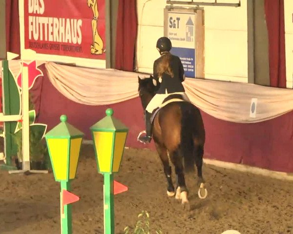 22. Drei-Königs-Hallenturnier Eppelheim 2017