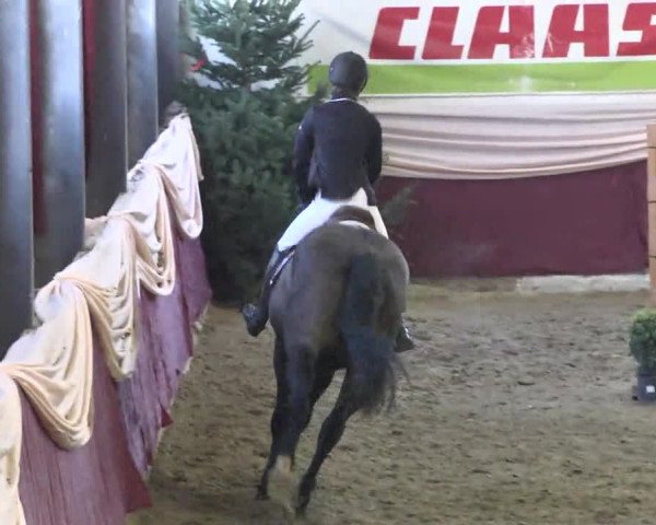 22. Drei-Königs-Hallenturnier Eppelheim 2017