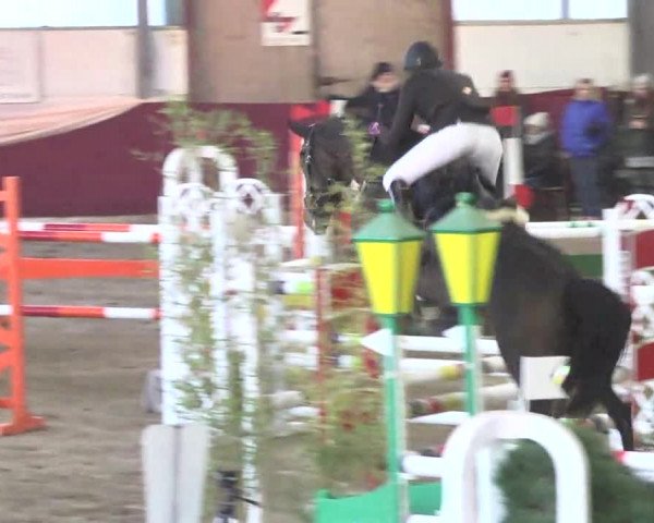 22. Drei-Königs-Hallenturnier Eppelheim 2017