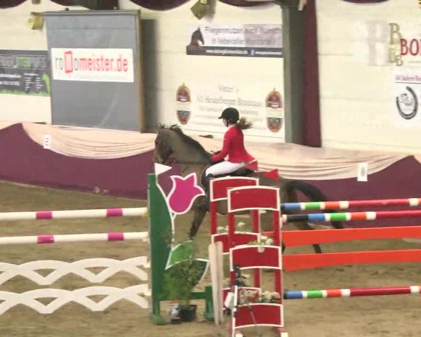 22. Drei-Königs-Hallenturnier Eppelheim 2017